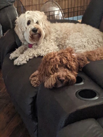 Bunny & Milly